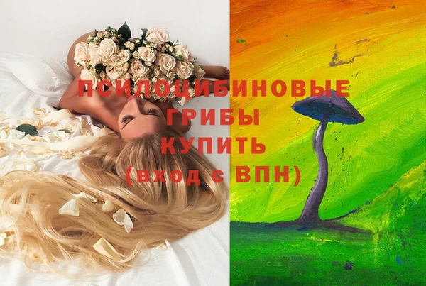 мет Арсеньев