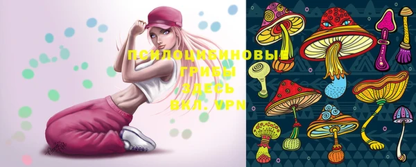 прущая мука Новозыбков