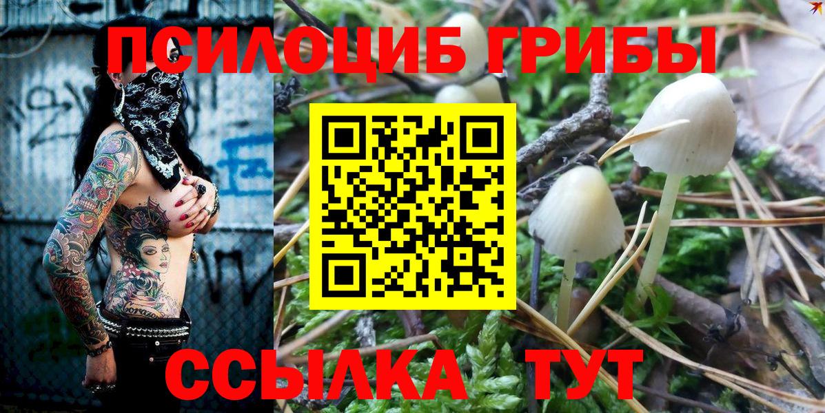 Псилоцибиновые грибы GOLDEN TEACHER  сколько стоит  Вход с VPN  Новороссийск  Галлюциногенные грибы Psilocybine cubensis 